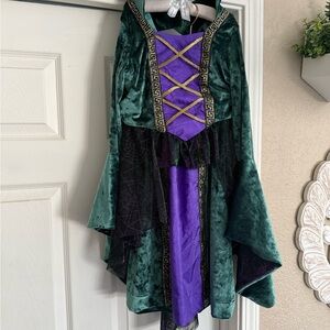Disney’s Hocus Pocus - Winifred Sanderson (Witch) Custom-made Costume - Size 7/8